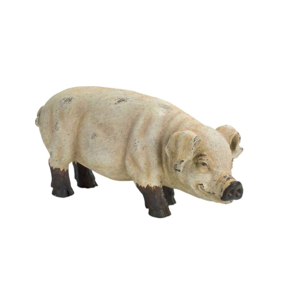 28560_70279DS.jpg img